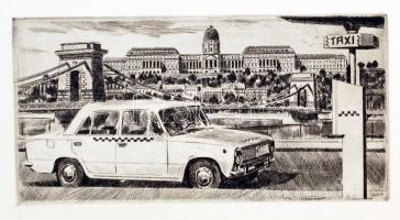 1976 A Fővárosi Autótaxi Vállalat kitüntetési ünnepsége és más társadalmi eseményeiről készült fotóalbum, 46 kfl méretű fénykép közös albumban, amely 15x22 cm-es, az albumlapok a gerincnél nincsenek rögzítve, az első kép egy rézkarc