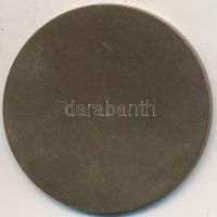 Szántó Gergely (1886-1962) 1927. "Királyi Magyar Egyetemi Nyomda" Br emlékérem (40mm) T:2