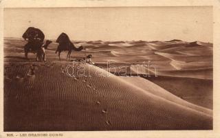 Libyan folklore, camels in the desert, Líbiai folklór, tevék, sivatag