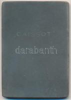 1962. "Nemzetközi Kutyakiállítás - Magyar Ebtenyésztők Országos Egyesülete / Caissot" fém ...