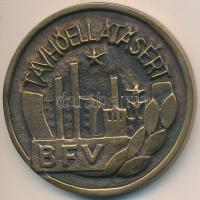 1971. "BFV - Távhőellátásért" Br emlékérem (60mm) T:2