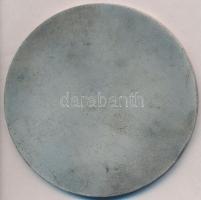 1957. "1919-1957 KISZ" ezüstözött Br plakett (80,5mm) T:2