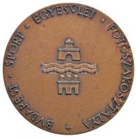 Madarassy Walter (1909-1994) DN "Budapest Sport Egyesület Fotószakosztálya" bronzozott had...