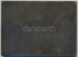 1934. "T.T.C. (Terézvárosi Torna Club)" autómobilos és motorkerékpáros fém plakett (58,5x8...