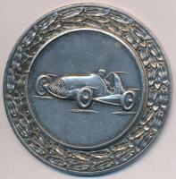 ~1950. "Magyar Szabadságharcos Szövetség" automobilos, ezüstözött fém emlékérem (56mm) T:2