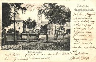 Nagybánya, Fő kút, Rózsa Simon kiadása / well (EK)