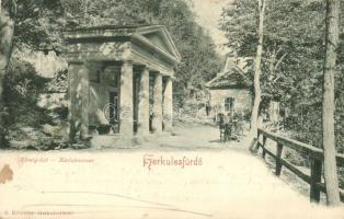 Herkulesfürdő, Károlykút / well, R. Krizsány (fa)