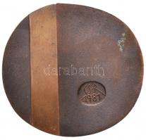 Csikszentmihályi Róbert (1940-) 1981. "Szentendre" Br plakett (100-106mm) T:2