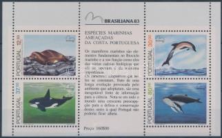 Nemzetközi bélyegkiállítás, Brazília blokk, International Stamp Exhibition; Brazil block