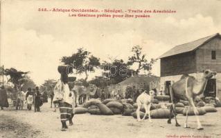 Senegal folklore, peanut market, market, Szenegáli folklór, piac, tevék
