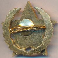 ~1960. "A Gépipar Kiváló Dolgozója" aranyozott, zománcozott kitüntetés T:1-,2