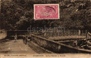 Matouba, Pont Nozieres / bridge (EB)