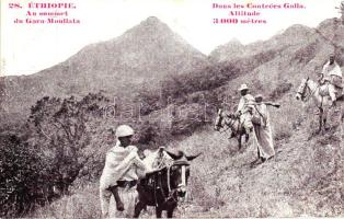 Gara Muleta, militants