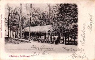 Szliács, József forrás ivó kúra, Kerekes Miklós kiadása / spring (fl)