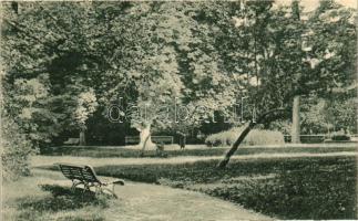 Nagybánya, Liget / park