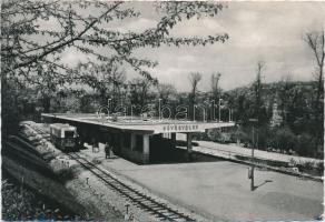 Budapest II. Hűvösvölgy, Úttörő vasútállomás; Képzőművészeti Alap Kiadóvállalat (fa)