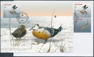 Vörös Könyv a veszélyeztetett állat- és növényfajtákról: a Balti-tenger élővilága pár FDC-n + egyik érték CM-en, Red Book of endangered animal and plant species: aquatic plants and animals pair on FDC+ CM