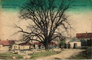 Süttő, 300 éves hársfa (EB)