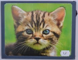 Éremtartó kazetta kivehető tálcával, 24 férőhellyel, használt állapotban, matricával