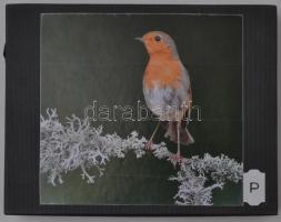 Éremtartó kazetta kivehető tálcával, 24 férőhellyel, használt állapotban, matricával