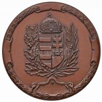 Bozó Gyula (1913-2004) DN "A Magyar Köztársaság Honvédelmi Miniszterétől" Br emlékérem (60...