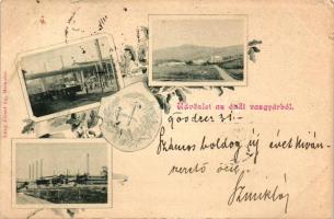 Ózd, Vasgyár, floral; Lővy József kiadása (EK)