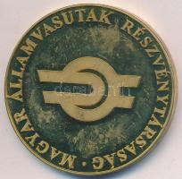 DN "Magyar Államvasutak Részvénytársaság / Kell a vasút Európában" aranyozott fém emlékérem (42,5mm) T:PP ujjlenyomat