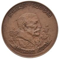 1988. "Mathiász János emlékév 1838-1988" Br emlékérem (58mm) T:2