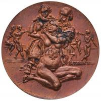 Peternák Gusztáv (1928-) 1975. "Michelangelo Buonarotti 1475-1564" Br emlékérem (60mm) T:2...