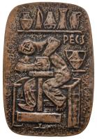 Páljános Ervin (1959-) DN "Pécs" ezüstözött Br emlékplakett (93x64mm) T:2,2-