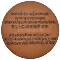 1958. "Fazola Henrik Emlékérem" Br emlékérem (70mm) T:2