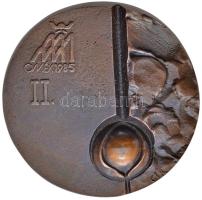 Csíkszentmihályi Róbert (1940-) 1980-1985. "OMÉK (Országos Mezőgazdasági és Élelmiszeripari Kiállítás és Vásár Budapest) II. díj" Br emlékplakett (80mm) T:2