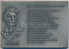 1977. "ALUTERV FKI HUNGALU / 150 éves az aluminium - Wöhler" Al emlékplakett (56x81mm) T:2
