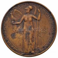 Gál Dezső (1870-) 1921. "VIII. Kerületi Községi Főreáliskola 50 éves fennállásának emlékére 1871-1921" Br emlékérem (44mm) T:2,2- HPII 1010.