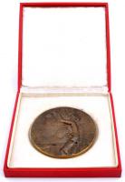 ~1970. "Nógrád Megye Sportjáért" nagyalakú Br plakett dísztokban (100mm) T:2
