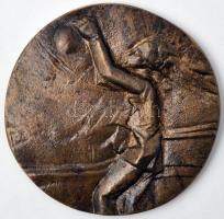 ~1970. "Nógrád Megye Sportjáért" nagyalakú Br plakett dísztokban (100mm) T:2