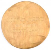 ~1970. "Nógrád Megye Sportjáért" nagyalakú Br plakett dísztokban (100mm) T:2