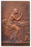 2003. "La Numismatique / Meghívó - Petőfi Irodalmi Múzeum MKISZ (Magyar Képzőművészek és Iparművészek Szövetsége) Éremszakosztály kiállítása megnyitójára" Br emlékérem (59x38mm) T:2