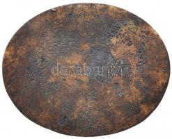 1924. "A komondor jutalma" aranyozott Br plaket (65x81mm) T:2-