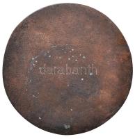 Rózsa Péter (1936-) DN "Magyar Autóklub 1900" Br emlékplakett (114mm) T:2