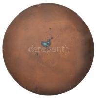 Sződy Szilárd (1878-1939) 1925. "Kajlinger Mihály 1860-1924" Br plakett (100mm) T:2
HP 559...