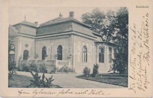 Szalakusz (Menyhebédszalakusz) kastély / castle (Rb)