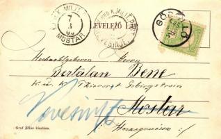 Gödöllő, Alvégi villák; Graf Éliás kiadása