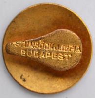 ~1930. "IV. Kerületi Társaskör" zománcozott, aranyozott Br jelvény hátoldalon "STUMBÖ...