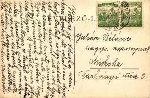 Hidasnémeti, Római katolikus és Református templom, Hernád, vasúti híd, Lánczy vámhíd, floral