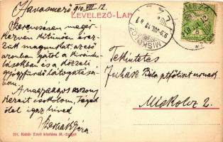 Havasmező, Ruszpolyána; Fűrésztelep; Kabát Emil kiadása / sawmill