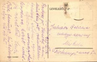 Szendrő, Gyógyszertár és szálloda