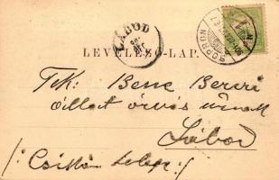 1900 Sopron, Árvíz; Nagy uszoda / Hochwasser, Grosse Schwimmschule