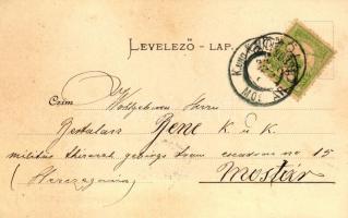 Gödöllő, a Rákos forrása; Ripka F. 'Gödöllő' című művéből, Pick testvérek kiadása