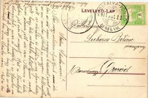 Szolyva-Hársfalva, Rudolf-vár / castle